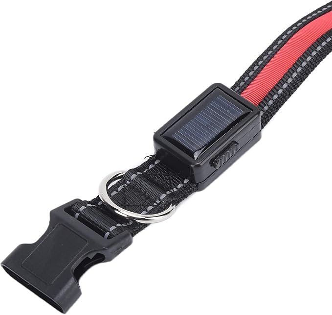 Light Up Dog Collar, USB Rechargeable LED Dog Collar Glow in The Dark Adjustable Lighted Safety Light Up for Nighttime Walking Camping (L)