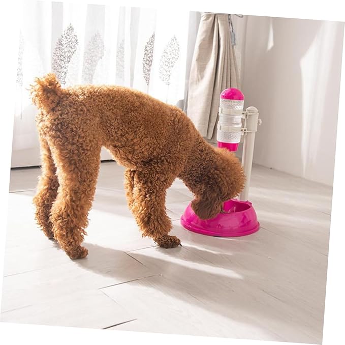BESPORTBLE Automatic Feeder Waterer Pet Food Holder PVC Pp Capacity Non-Slip Base Pet Friendly