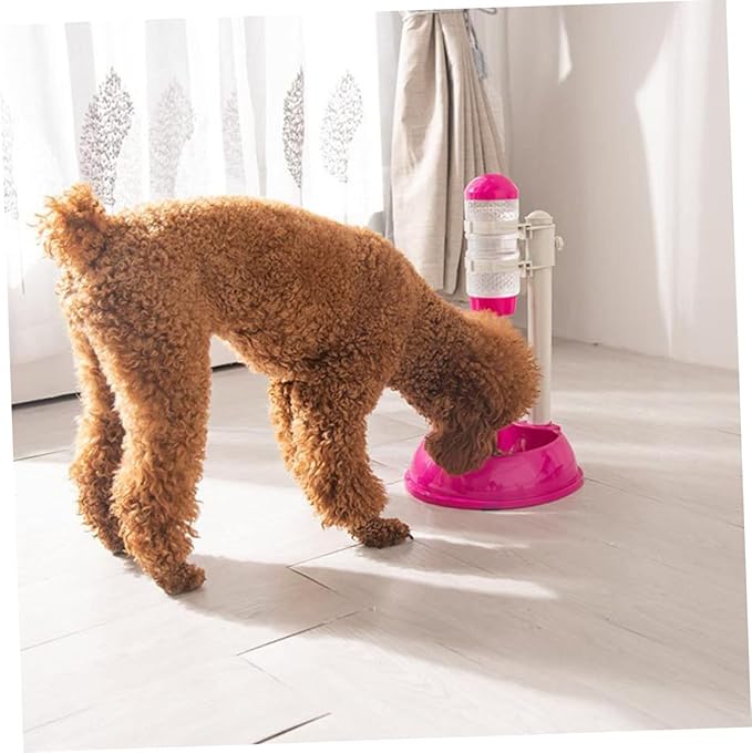 BESPORTBLE 1pc Automatic Pet Water Dispenser and Food Feeder Drinking Bowl for Dogs and Cats Transparent Water Bottle and Material Easy to Use Pet Supplies