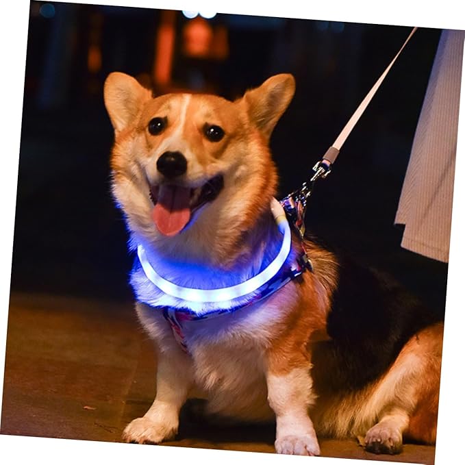 USB Rechargeable Glowing LED Pet Dog Collar Lightweight Luminous Night Safety Collar with Multiple Flashing Modes for Visibility and Decoration