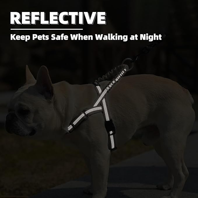 PUPTECK No Pull Dog Harness Small Sized Dog, Adjustable Reflective Pet Vest Harness with Bungee Handle, Escape Proof No Choke Harness for Small Dogs Walking Training, Beige S