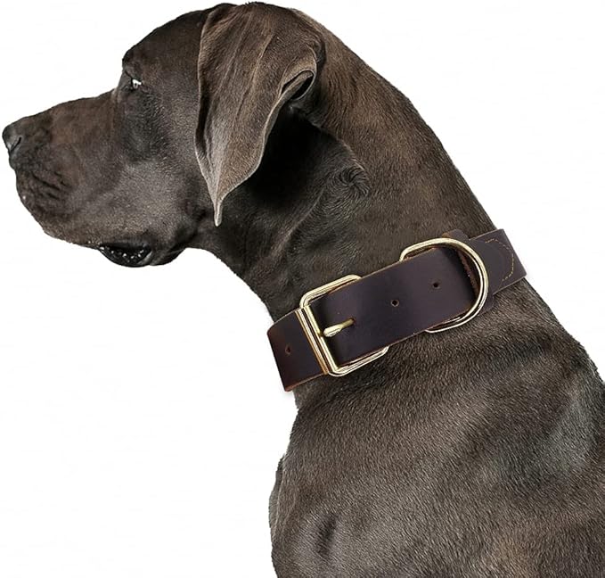 Dog Puppy Collar Genuine Leather Pet Collars for Small Medium Large Dogs Real Leather German Shepherd Big Dog Collar XS-XXL Coffee XL