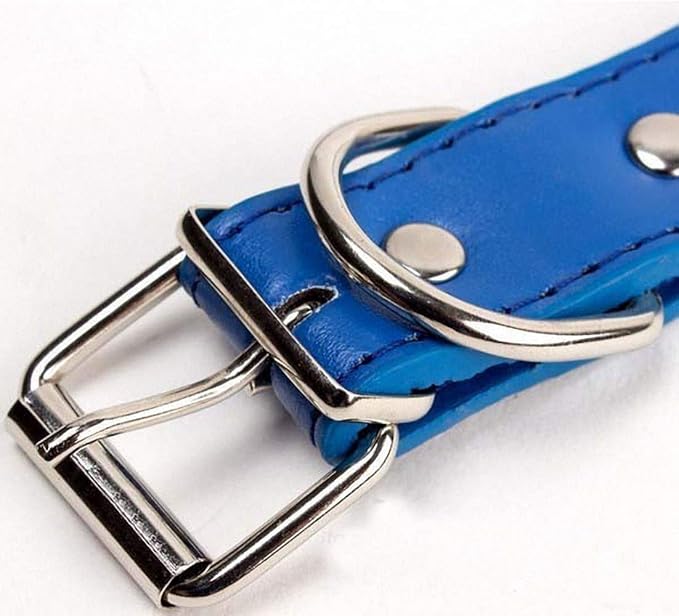 PU Leather Dog Collar Design Bone Charm Studded Collars for Dogs Necklace Pet Products Blue M