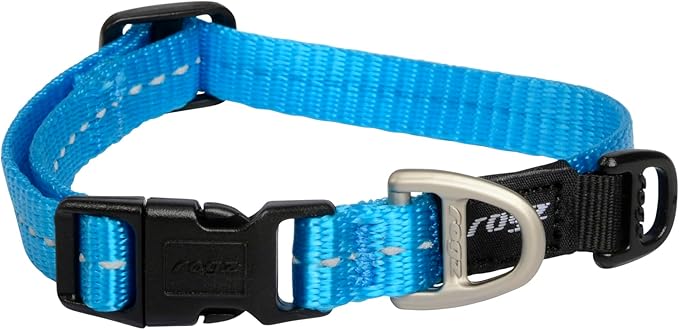 Reflective Dog Collar for Small Dogs, Adjustable from 8-13 inches, Turquoise