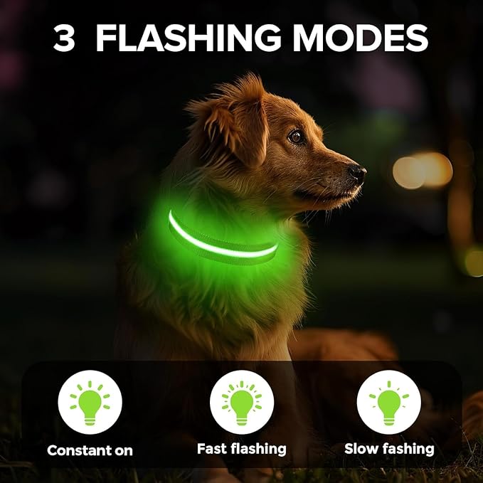 Spring Green Medium LED Dog Collar | Night Walks just got safer | Ultra-Bright LED Collar | USB Rechargeable | Waterproof| Adjustable & Durable | 4 Light Modes | Keep Your Pup & Yourself Safe!