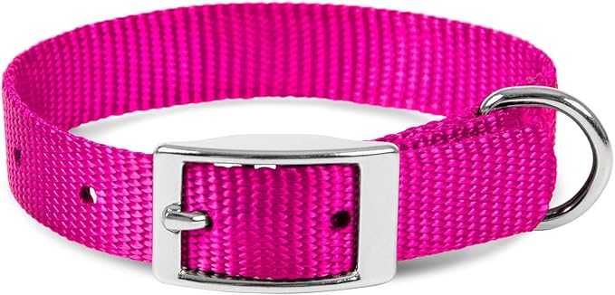 Jeffers Pet Solid Nylon Dog Collars, Hot Pink, 8" W x 12" L – Adjustable, Durable & Safe for Dogs, Lightweight & Double Ply Design, Stylish Pet Accessories - Perfect for Training, Walking & Tracker