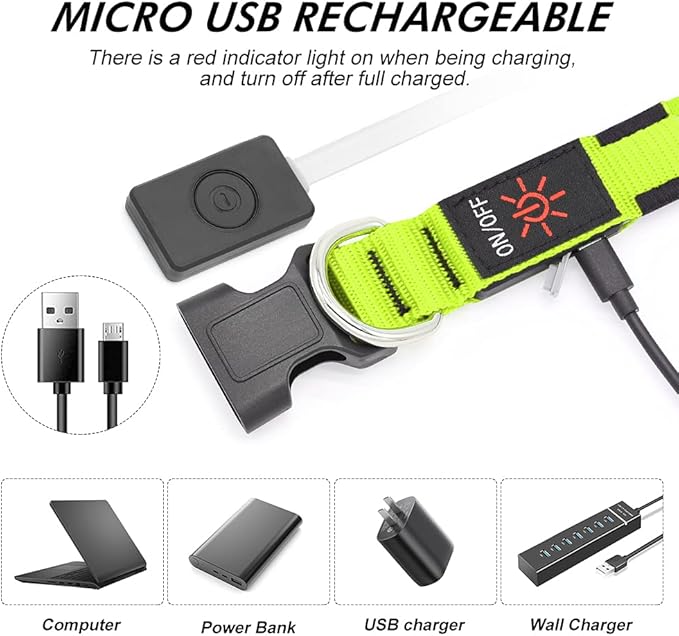 Illumifun LED Dog Collar, USB Rechargeable Light Up Dog Collar Glow in The Dark (Green, Medium)