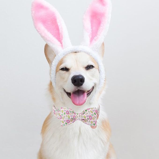 Easter Bunny Dog Collar with Bowtie,Cotton Easter Eggs Bowtie Collar for Puppy Girl Boy Dogs,Cute Bunny Pet Collars with Metal Buckle,Gift Dog Collars, S, Neck 10-16in