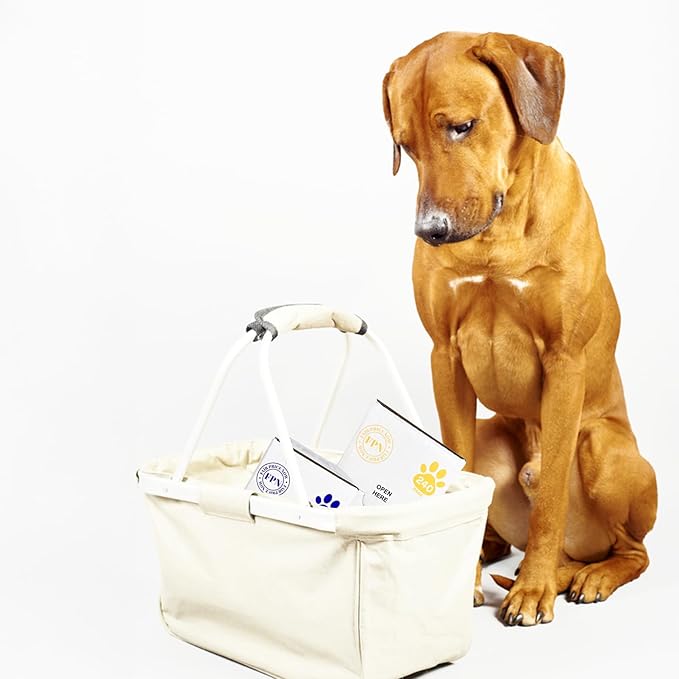 FPN Dog Poop Bags – 16 Rolls - 240 Bags, 13″ x 9″, Fits Most Dispensers –Biodegradable, Leak-Resistant & Earth-Friendly Pet Waste Bags (Lemon)