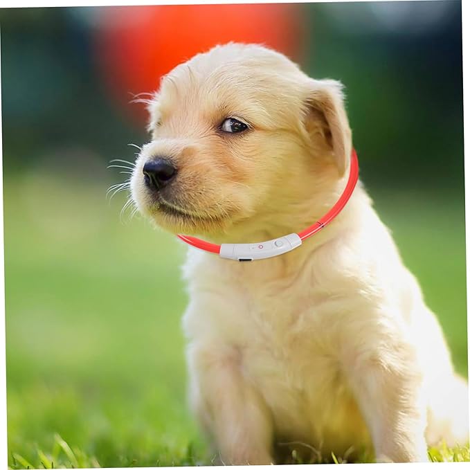 Housoutil 2pcs Dog Collar Pet Glow Collar Led Lights Night Safety Rechargeable for Puppies