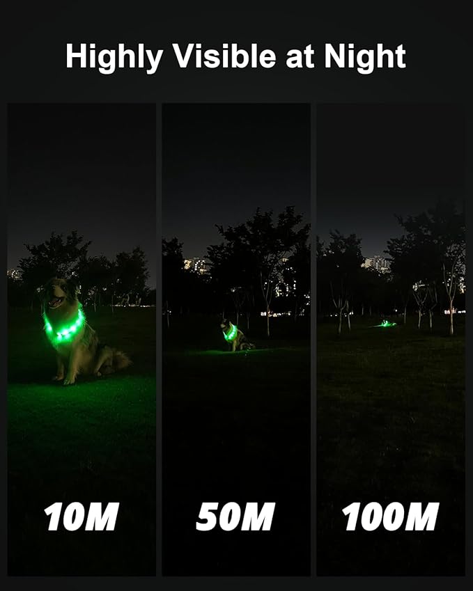 Cool LED Dog Collar Rechargeable Light Up Dog Collar Rainproof 9 Flashing Modes, Glow Collars for Night Walking, Cuttable Soft Silicone Collar (L,Colorful)