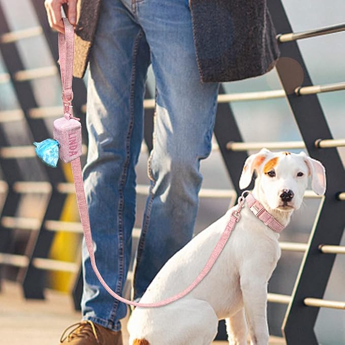 Personalized Dog Collar with Leash Custom Dog Waste Bag Dispenser Engraved Pet Collar Walk Lead Outdoor Pet Poop Bag Portable Pink L