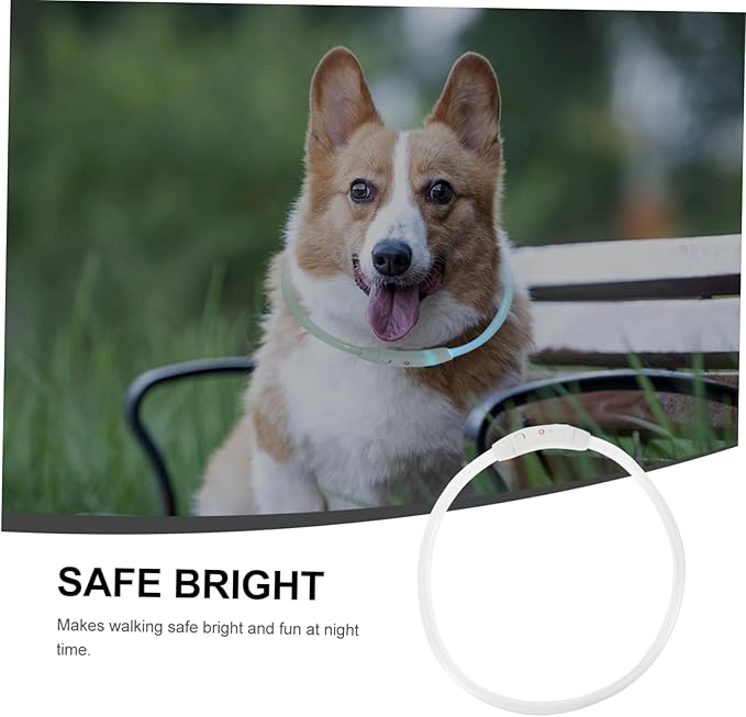 Housoutil 3pcs Led Dog Collar USB Rechargeable Glowing Pet for Night Walking Lightweight and Stylish