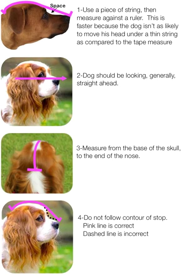 Out Fox Field Guard Size S - Vet-Recommended Dog Safety Mask for Foxtails, Grass Seeds, Bugs and Debris | Breathable, Lightweight, Patented Design | Multiple Sizes