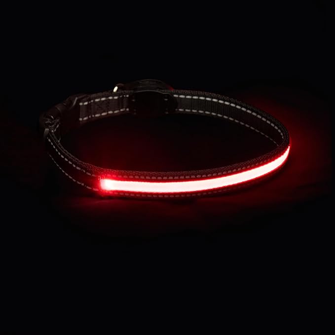 Sherry Kline LED Light-Up Pet Collar - USB Rechargeable - Flashing Glow in The Dark Size Small, Color: Red