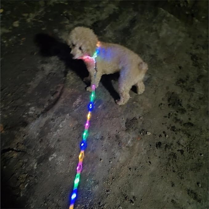 Light Up Dog Collar+LED Dog Leash,Rechargeable Waterproof LED Dog Collar Set,1.5m,3 Lighting Modes for Medium Large Dogs Walking at Night(1.5m Leash+10-25in Collar Can be Crop)