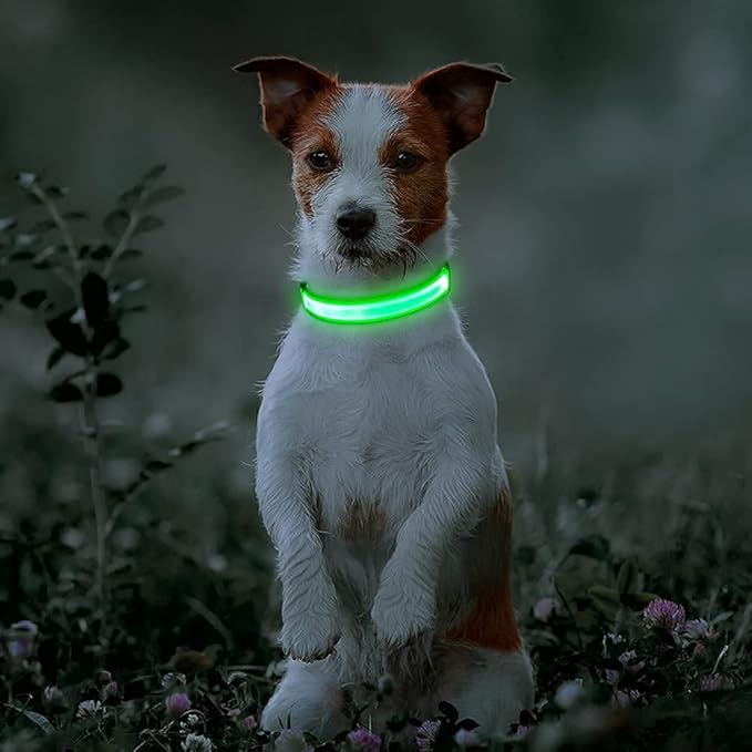 BSEEN Light Up Dog Collar, Rechargeable LED Dog Collar Reflective Pet Glow Collar Dog Lights for Night Walking (Neon Green, Medium)