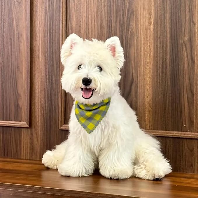 Double Layers Two Tones Dog Cotton Square Bandana Bibs Scarf Kerchief for Small Medium Dogs Boy or Girl - DCB16 G&G