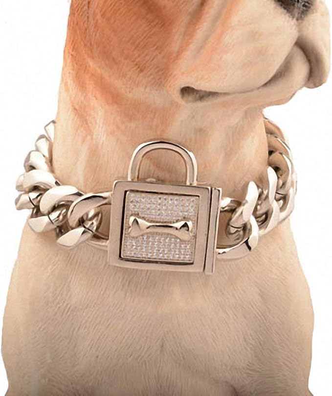 Lakke 19mm Golden Lock Stainless Steel Pet Dog Collar Apparels Metal Durable Puppy Dog Cat Gold Silver Collar Training Necklaces 10A