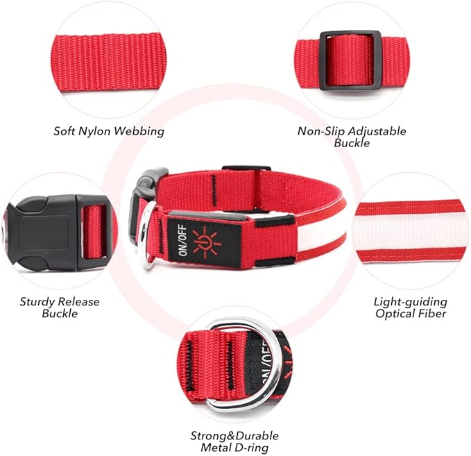 BSEEN Light Up Dog Collar, Rechargeable LED Puppy Collar Reflective Pet Collar Water-Resistant Dog Camping Gear Glowing Dog Lights for Night Walking (Ruby Red, Small)