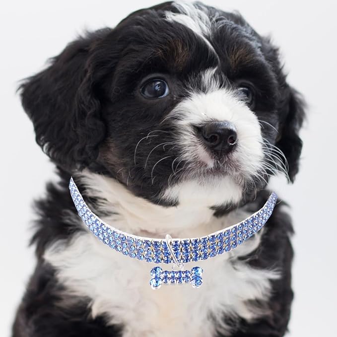 DOITOOL Rhinestone Dog Collar with Blue Crystal Mini Bone Pendant, Adjustable Small Size Luxury Pet Collar for Dogs, Sturdy Chain Necklace for Pet Supplies