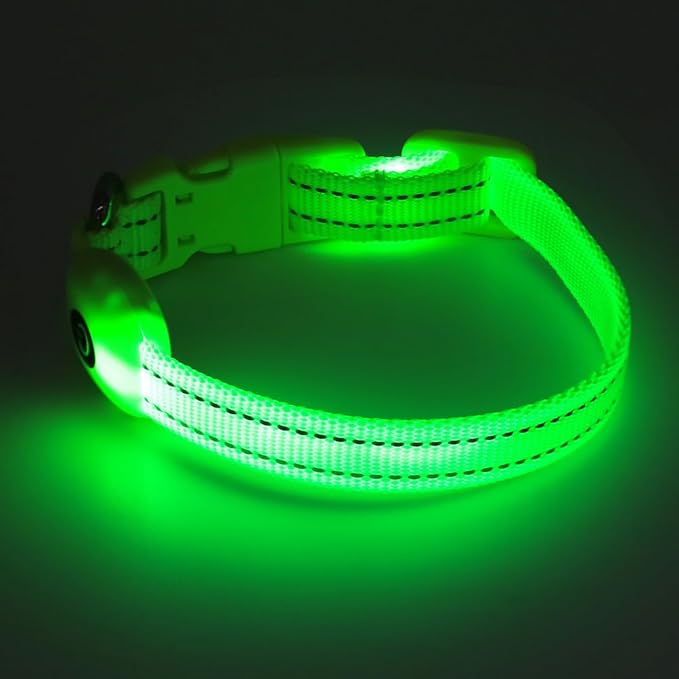 Candofly Light Up Dog Collar - LED Dog Collar Rechargeable - Glowing Puppy Collar Dog Lights for Night Walking (X-Small, Neon Green)