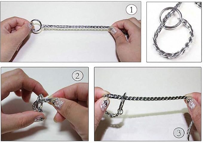 Lakke 19mm Golden Lock Stainless Steel Pet Dog Collar Apparels Metal Durable Puppy Dog Cat Gold Silver Collar Training Necklaces 10A