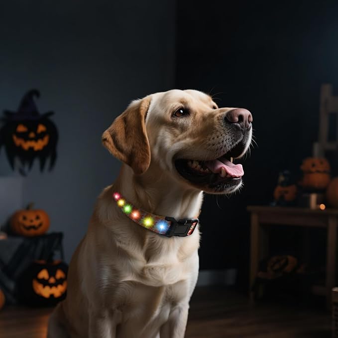 Halloween Light Up Dog Collar, LED Dog Collar Glow in The Dark - USBC Rechargeable, 3 Flashing Modes, Fashionable Cute Glowing Dog Light Up Collars for Medium Large Dogs, M