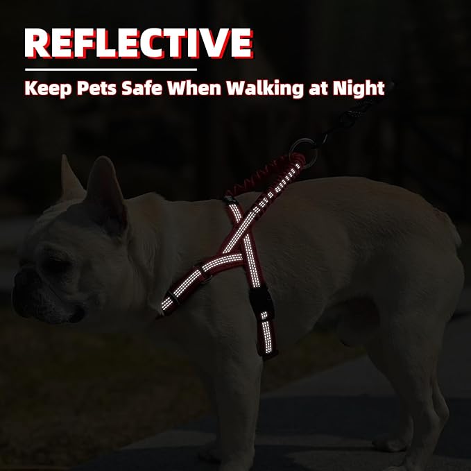 PUPTECK No Pull Dog Harness Small Sized Dog, Adjustable Reflective Pet Vest Harness with Bungee Handle, Escape Proof No Choke Harness for Small Dogs Walking Training, Red XS