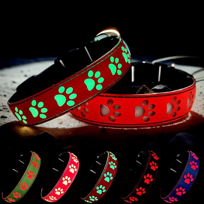 LED Dog Collar with Paw Print Design, 15 Light Modes, Waterproof, Includes Bone-Shaped Name Tag, Multiple Colors (RED, L(15.7-19.7"))
