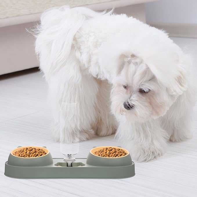 Cat and Dog Feeder Automatic Feeder and Drinker Double Bowl Pet Food Dispenser Easy to Use Safe for Pets Random Style