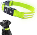 Tractive LED Light Up Dog Collar USB Rechargeable Waterproof (Green)