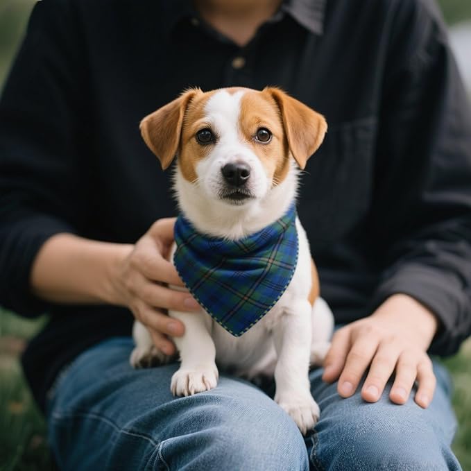 Double Layers Two Tones Dog Cotton Square Bandana Bibs Scarf Kerchief for Small Medium Dogs Boy or Girl - DCB25 B&G