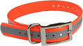 Buzzard's Roost Reflective Replacement Pet Collar Strap 1" - Orange