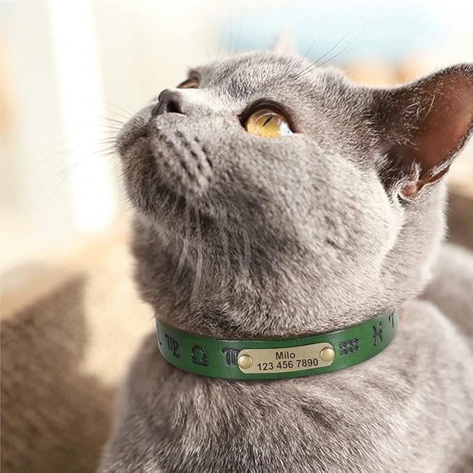 Custom Leather Dog Collar Personalized Dog Collars Leather Gold Buckle German Shepherd Pet ID Collar for Small Medium Large Dogs Green L