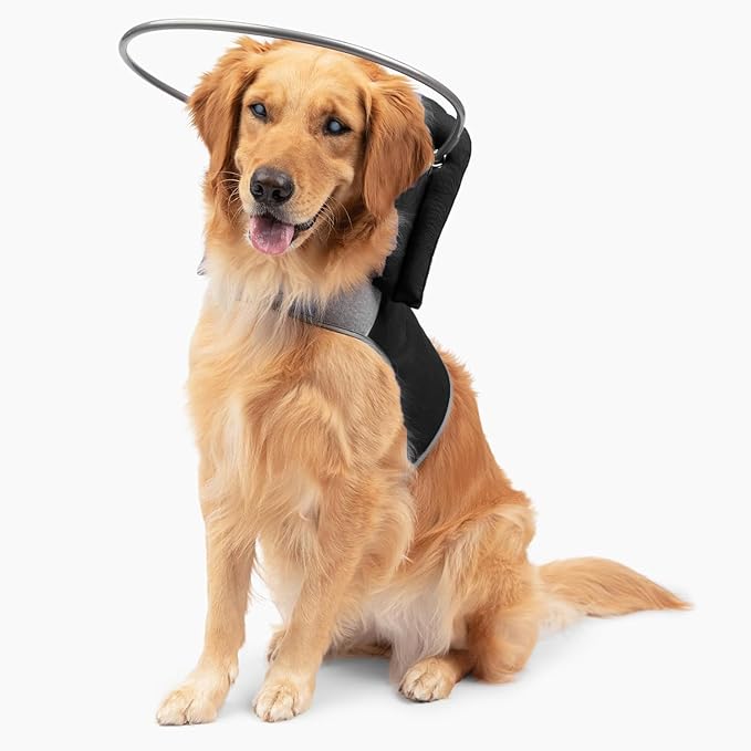 Muffin’s Halo® – The Original Blind Dog Halo | Harness & Bumper Collar Accessory for Safe Navigation & Confidence – Black, Size 9