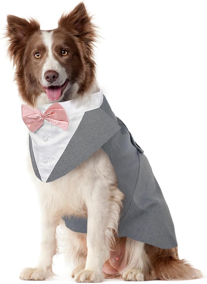 Kuoser Dog Tuxedo Dog Suit and Bandana Set, Dogs Tuxedo Wedding Party Suit, Doggy Prince Bow Tie Shirt Formal Pet Wedding Attire for Large Medium and Small Dogs Golden Retriever Samo Bulldogs