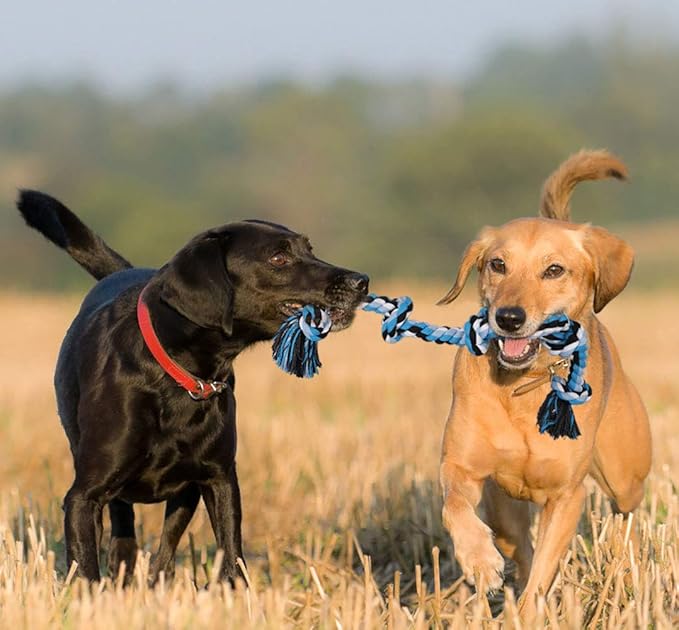 Bmag Heavy Duty Dog Rope Toy for Aggressive Chewers, Medium Large Dogs, Tough Twisted Rope with 5 Knots