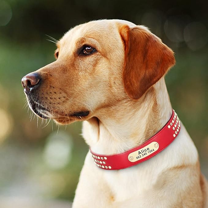 Rhinestone Custom Dog Collars Leather Personalized Crystal Pet Collar Padded Collars Adjustable for Small Medium Large Dogs Red L