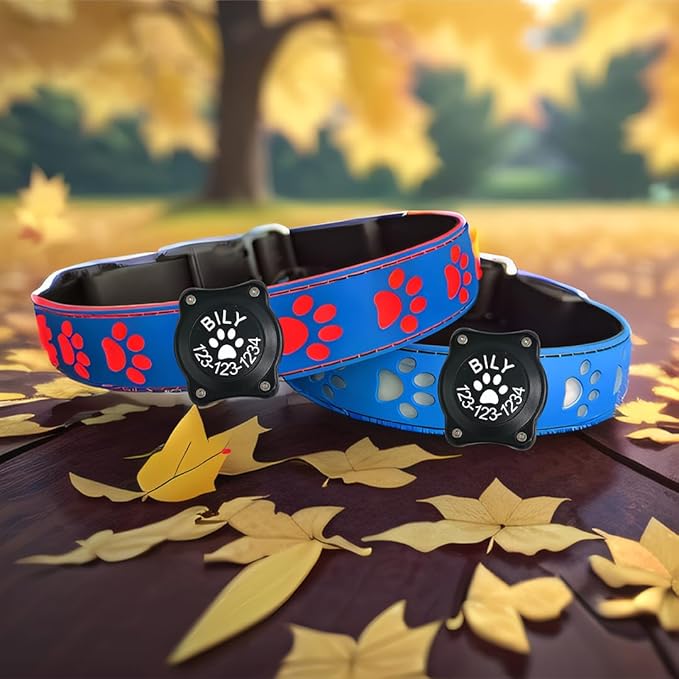 Personalized Xmas Hallowmas Flashing USB-C led Light up Dog Collar with Waterproof airtag Holder,Night Walking Dog Collar (Blue, L(15.7-19.7"))