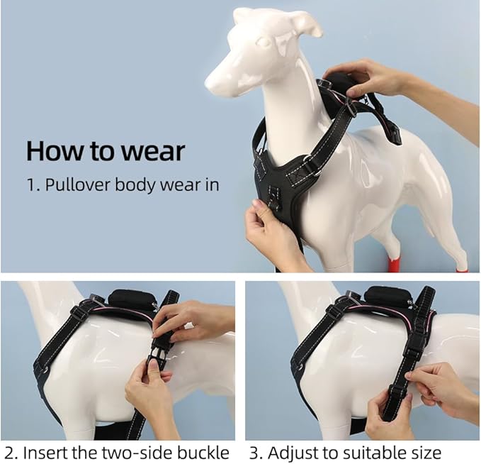 Luwint Light Up Dog Harness, LED Illuminated Harness for Medium Large Dogs Glow in The Dark for Night Walking (USB Rechargeable, Adjustable, Lightweight) (Green)