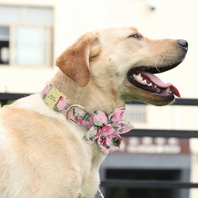 Flower Custom Dog Collar Printed Pet Nylon Dogs Collar Personalized Chihuahua Puppy Collars for Small Medium Large Dog Pink L