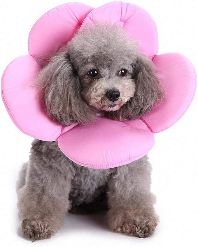 Lakke Flower Colorful Pet Dog Necklace Collar Various Pattern Shape Puppy Playing Collars for Small Dog Pink M
