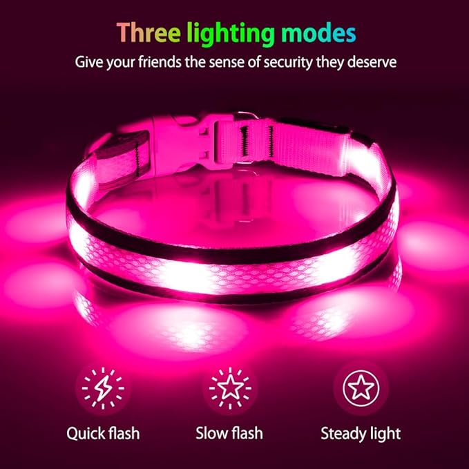 Illumifun LED Dog Collar, USB Rechargeable Light Up Dog Collar Glow in The Dark, Adjustable Safety Pet Collar for Night Walking (Small, Light Pink)