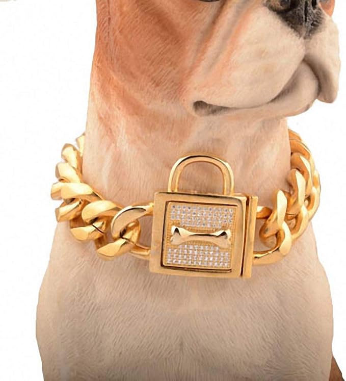 Lakke 19mm Golden Lock Stainless Steel Pet Dog Collar Apparels Metal Durable Puppy Dog Cat Gold Silver Collar Training Necklaces 10A