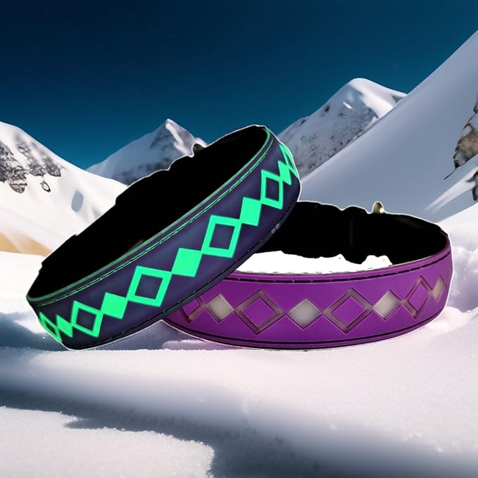 USB-C led Light up Dog Collar, 3D Design Comfortable and Soft Material,Multicolored Lighting，Night Dog Collar (LX-Purple, M(15.7-19.7"))
