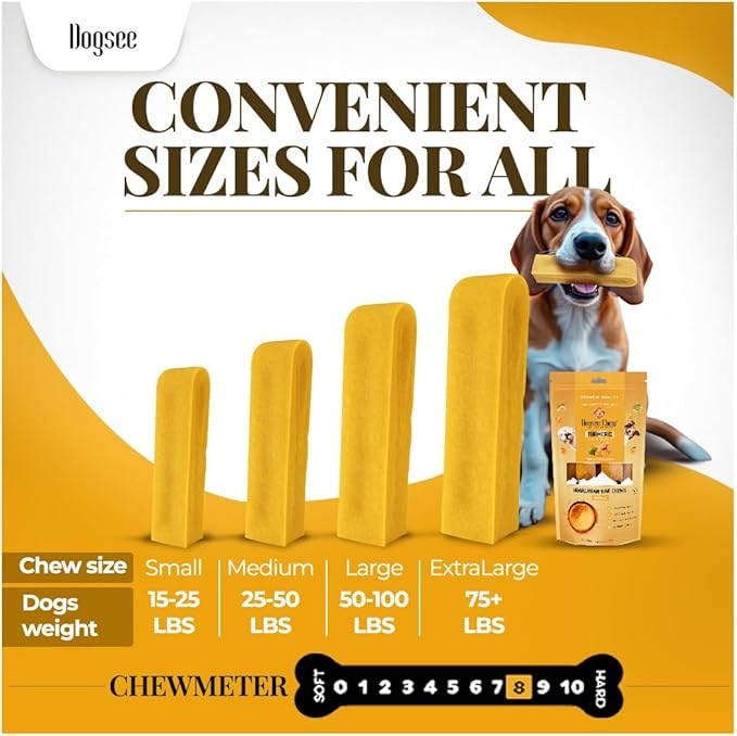 Dogsee Himalayan Yak Cheese Dog Chews with Turmeric/Curcumin (Medium - 6Chew) | Long Lasting | Anti-inflammatory | Fights Plaque and Tartar | Odorless Dog Treats