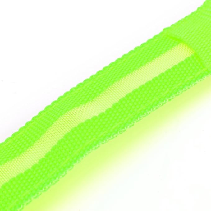 Green Light-Up LED Adjustable Pet Collar (Flashing or Steady Modes) - Rechargeable via USB Cable (Included) by Electronix Express (Medium)