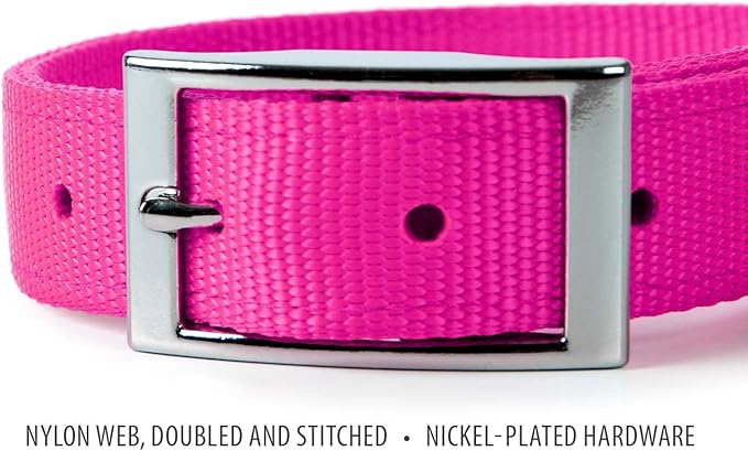 Jeffers Pet Solid Nylon Dog Collars, Hot Pink, 1" W x 16" L – Adjustable, Durable & Safe for Dogs, Lightweight & Double Ply Design, Stylish Pet Accessories - Perfect for Training, Walking & Tracker