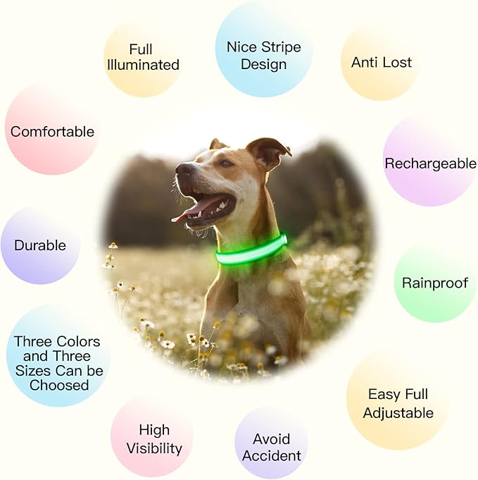 YFbrite Light up Dog Collar, USB Rechargeable LED Puppy Collar Super Bright Adjustable Glowing Dog Lights for Night Walking (Design 2-Green, Small)